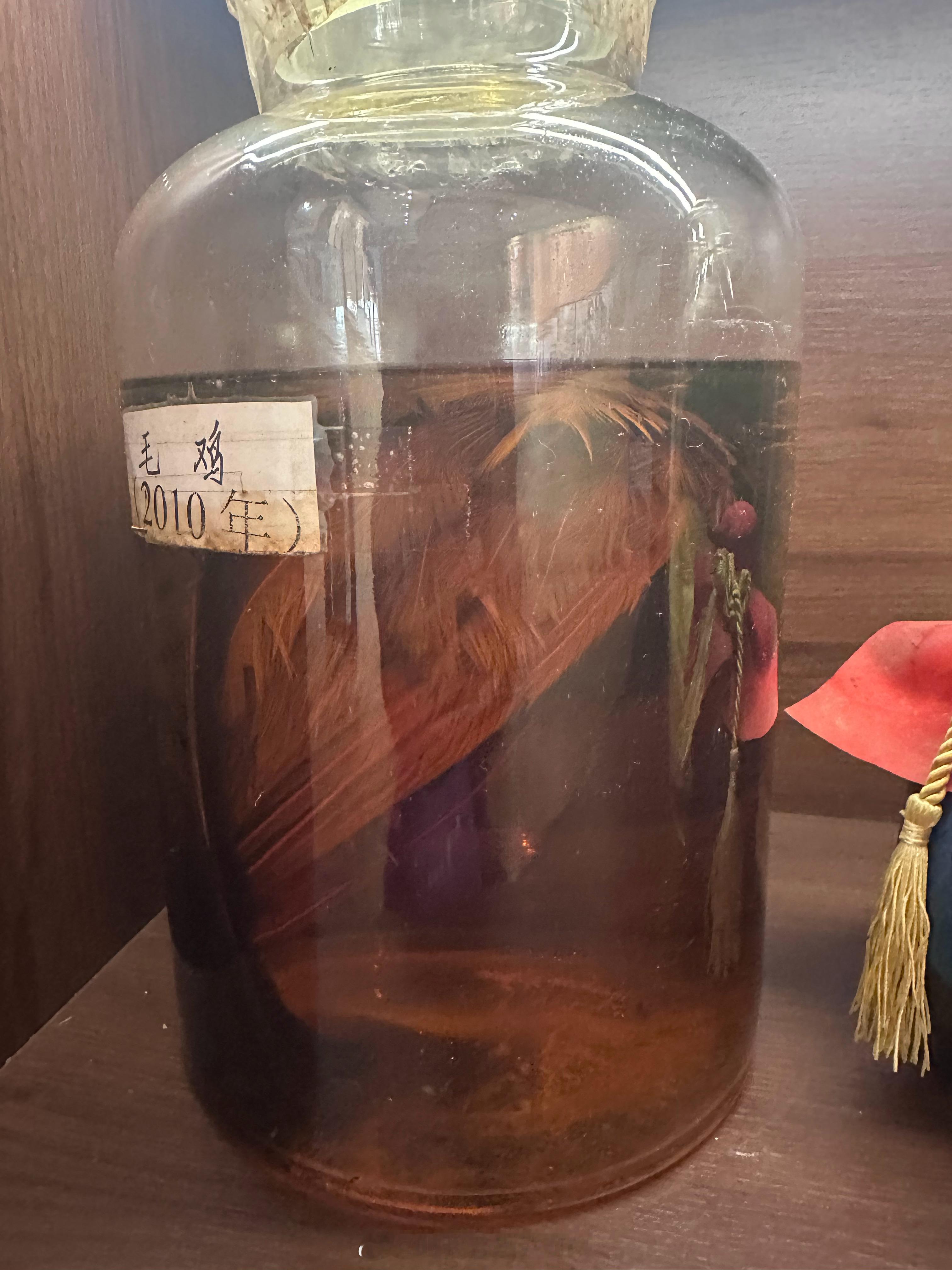 第一次见这种泡的药酒，一整只大公鸡连毛都不拔直接泡酒里，一泡就是16年啊16年…