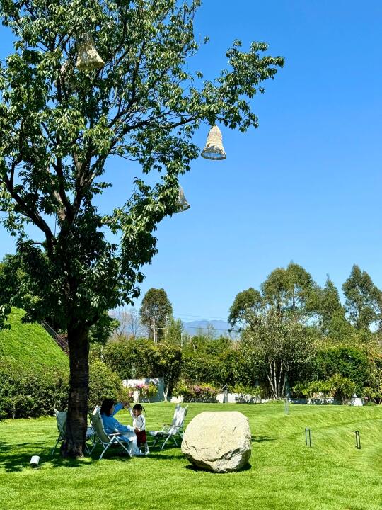 大理遛娃不费妈 你只管自由奔跑肆意生长