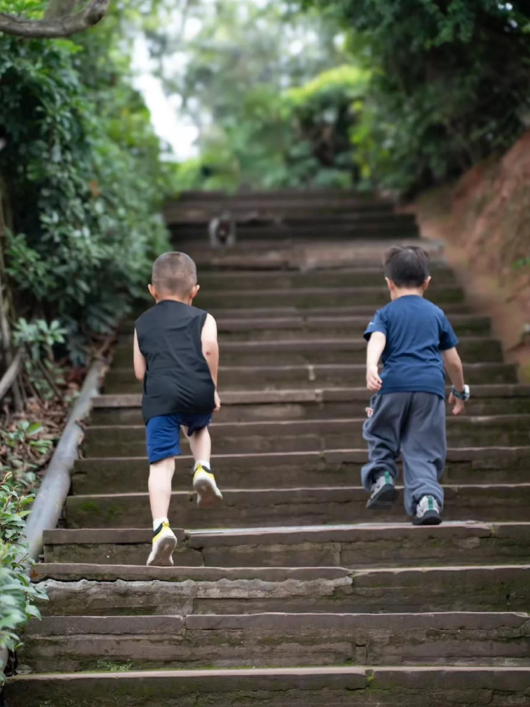 养娃5年，多出去玩的孩子确实不一样