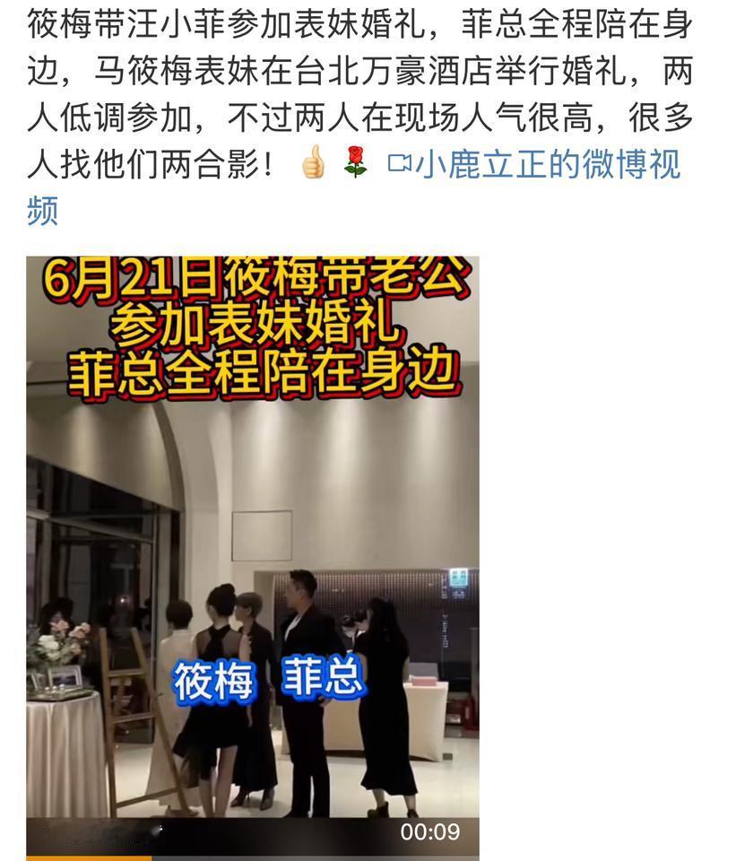 小梅带小菲去参加表妹的婚礼，超级棒，小菲也很配合。人在现场，很低调，还有人找他们