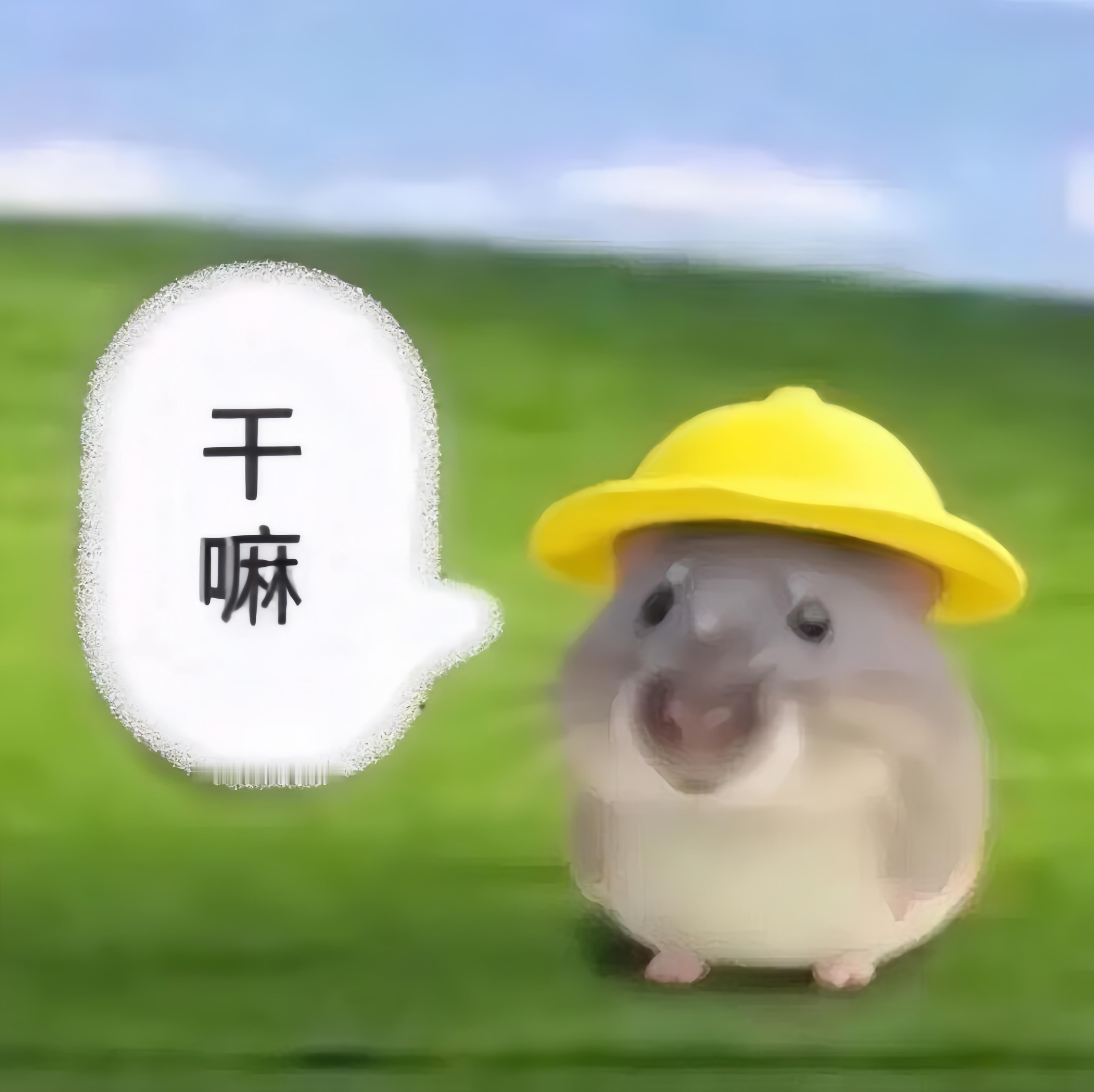 ↀωↀ干嘛 