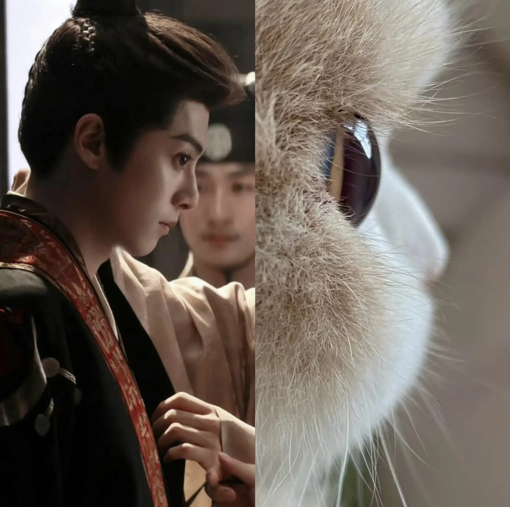 眼睛圆圆的和小猫咪一样