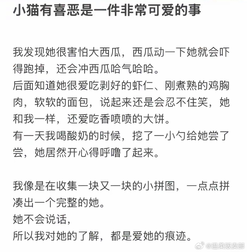 小猫有喜恶是一件非常可爱的事 