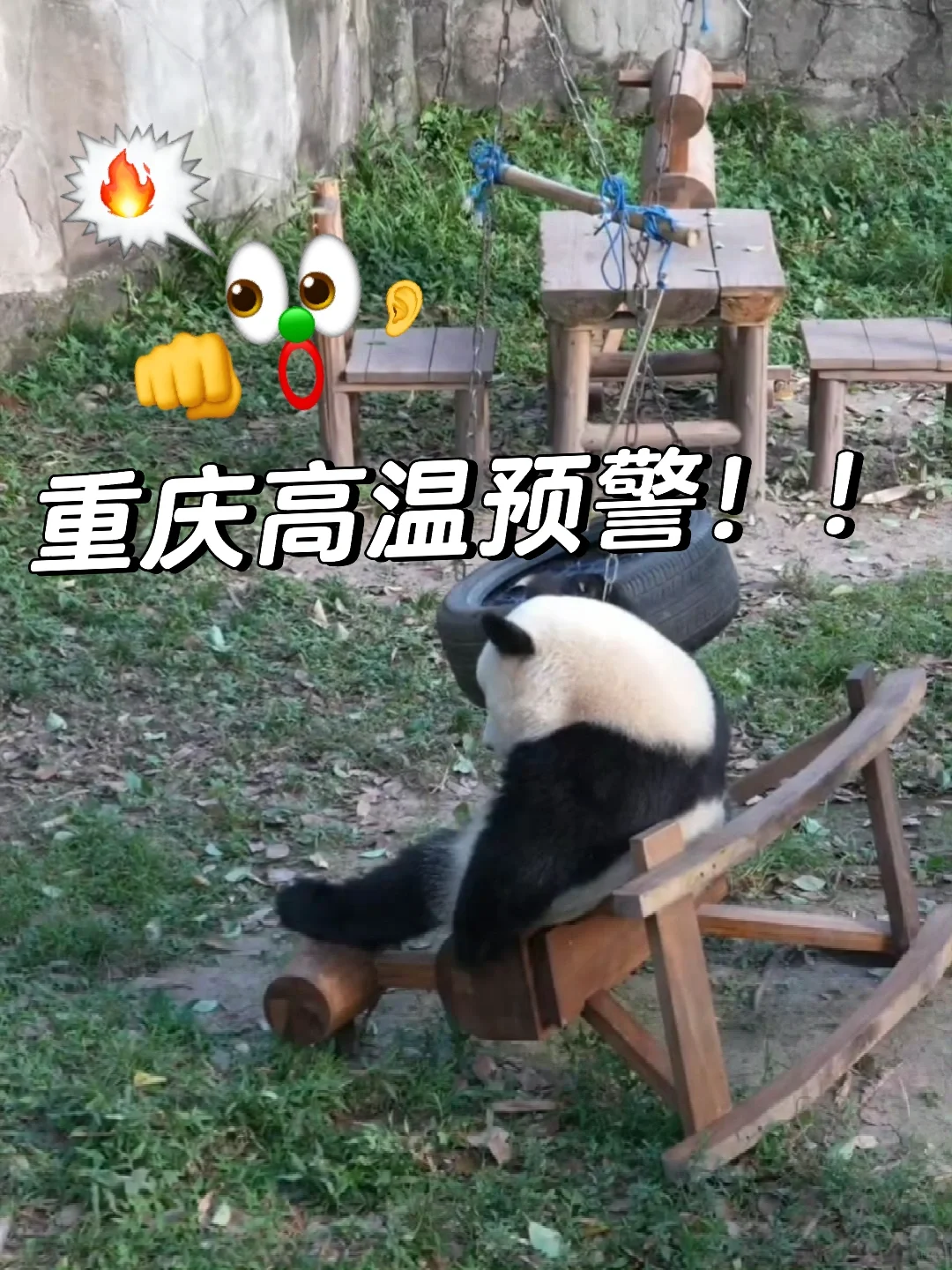 重庆旅游注意‼️局地最高气温将达41-43℃！
