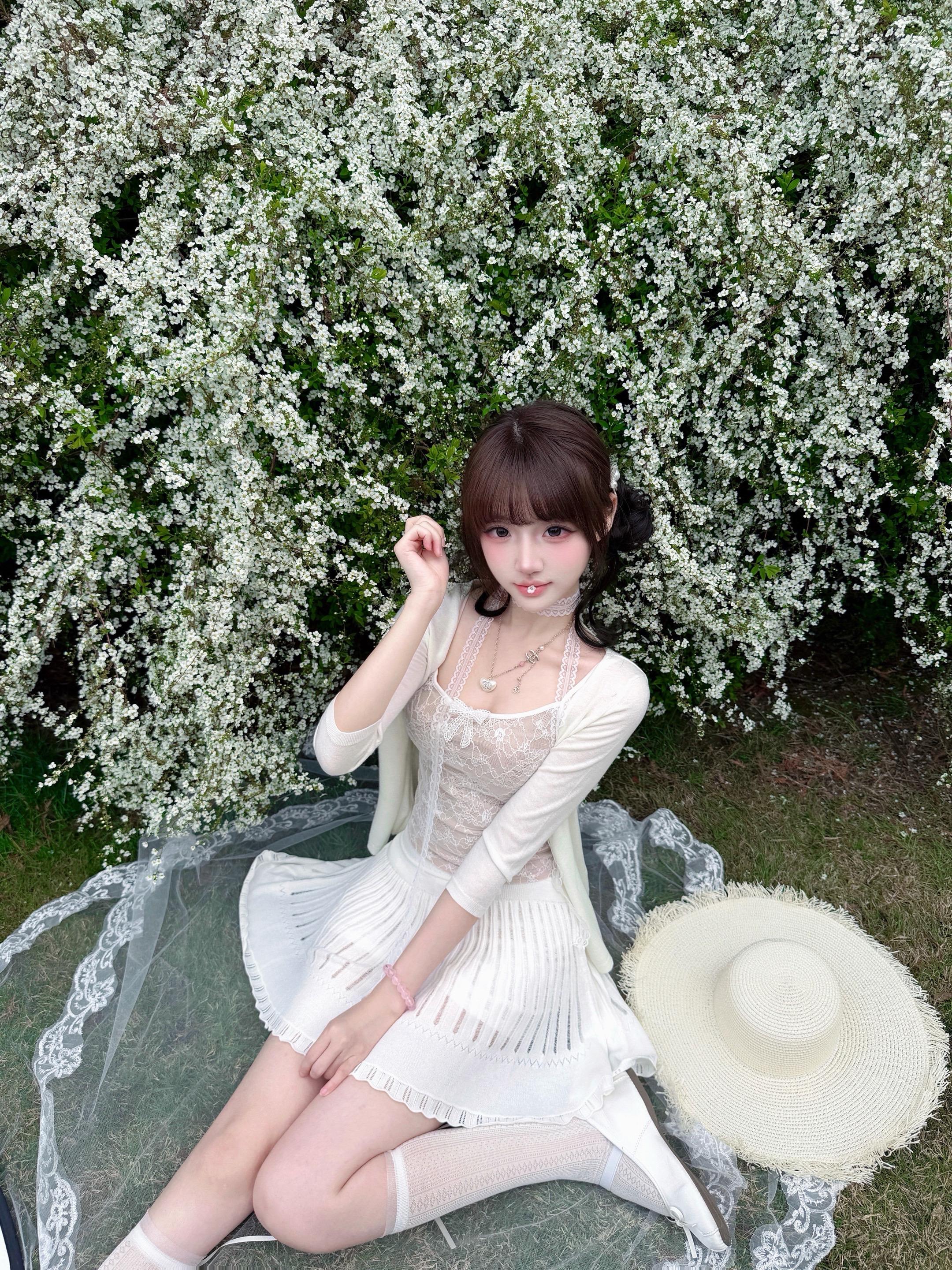 雪柳 落在春天的雪. ₊᪥⋆.