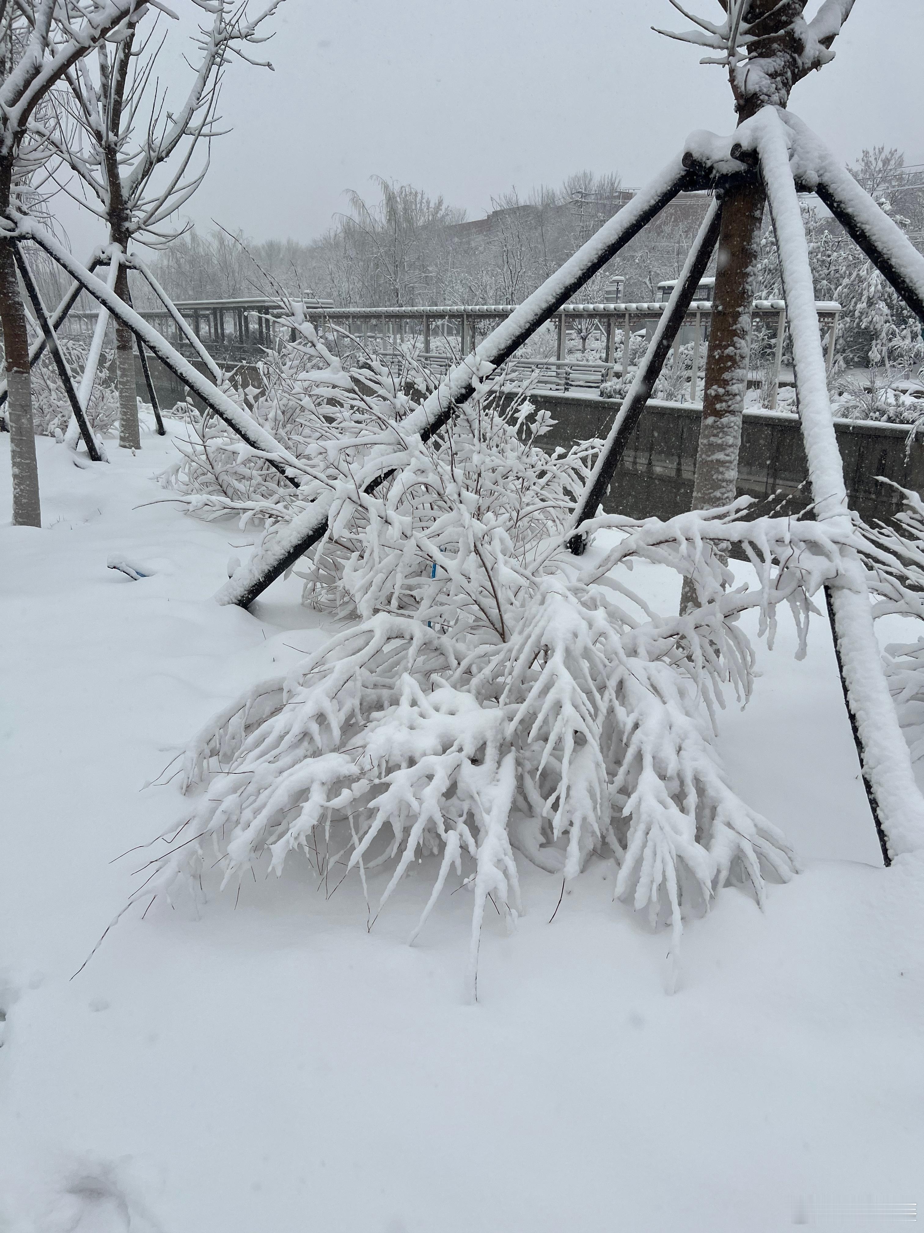 山东发暴雪橙色预警   春夏秋冬四季轮换、风霜雨雪天气互现本也是自然景象，但进入