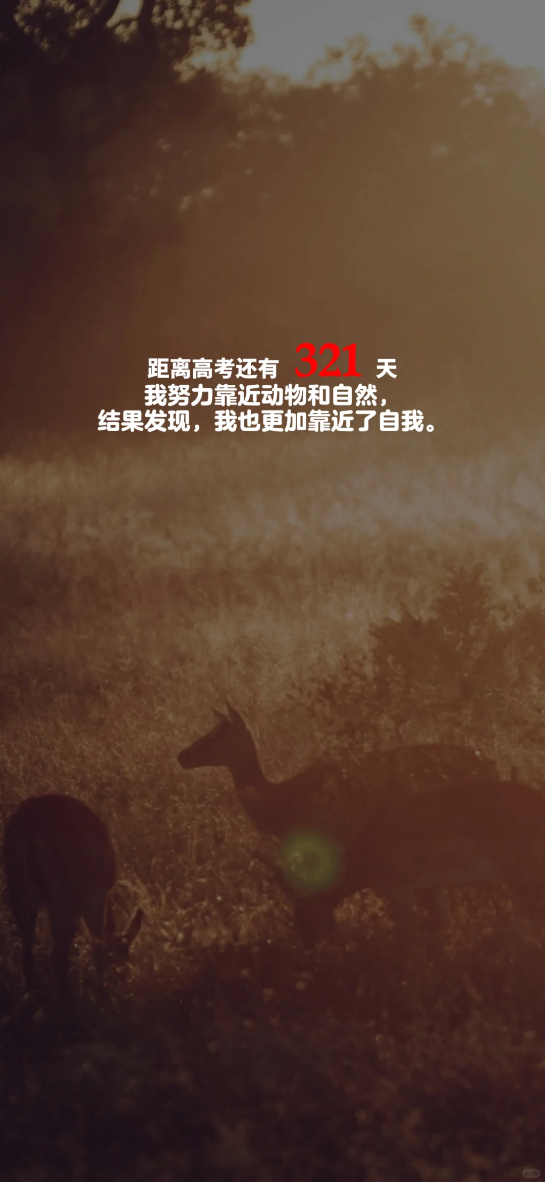 2025高考倒计时，每日更新。
