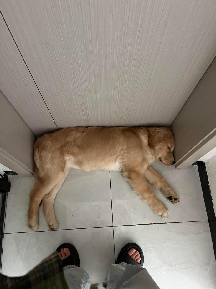这也太严丝合缝了吧 ​​​