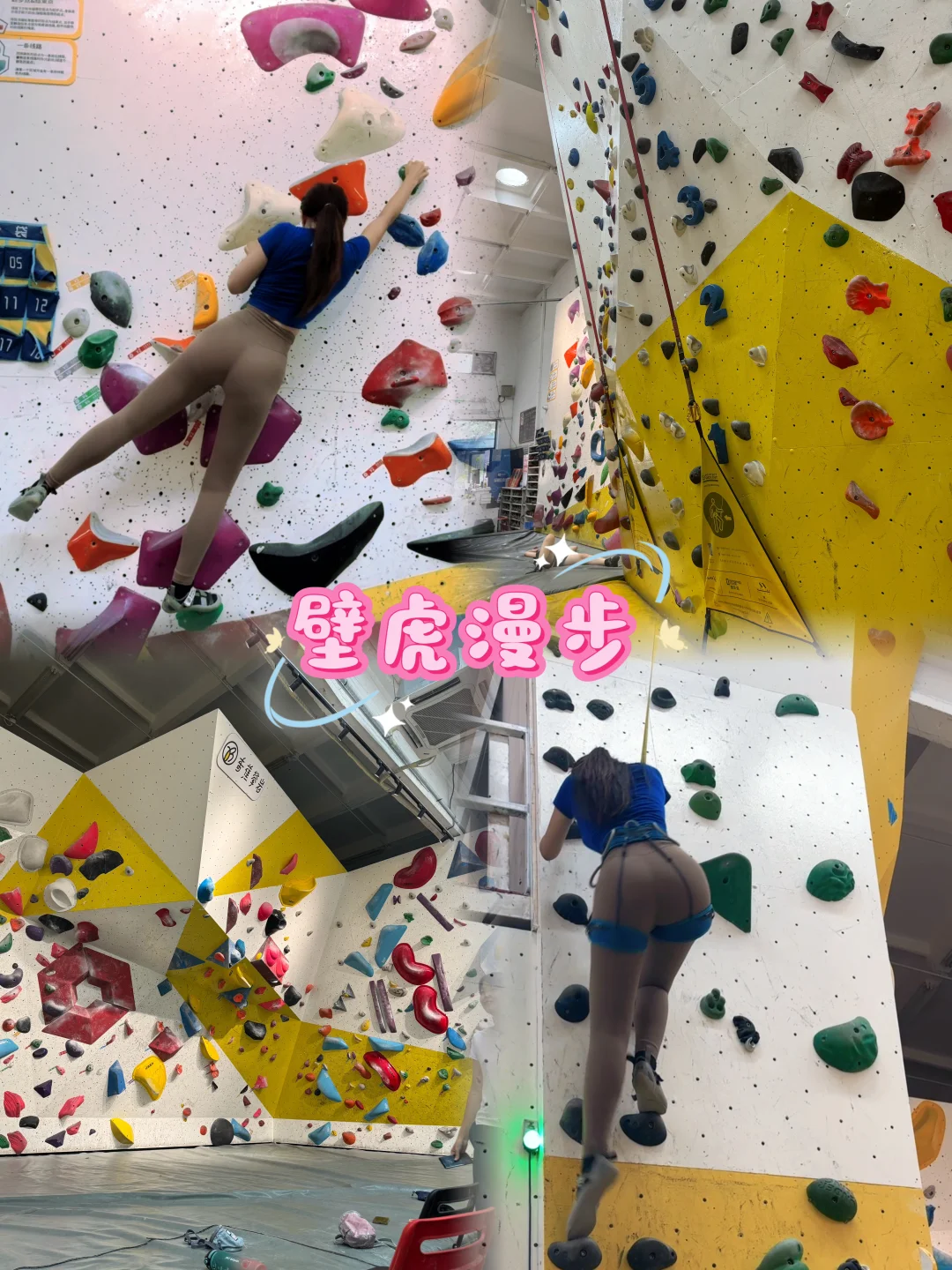 攀爬秘术 壁虎漫步