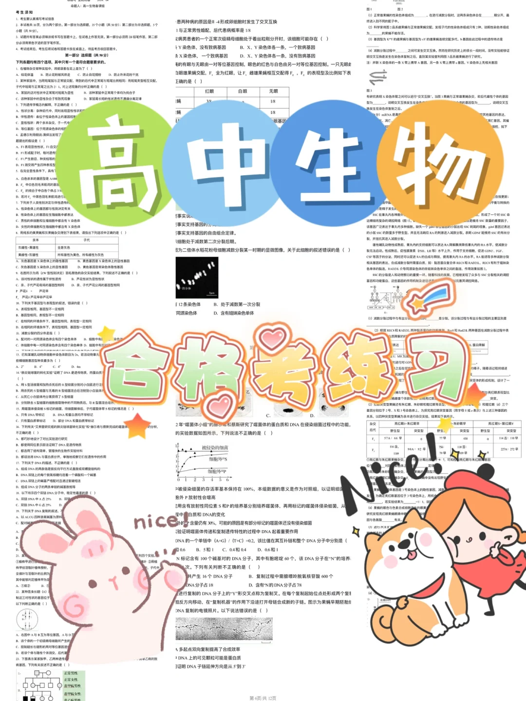 高中生物合格考练习来咯～