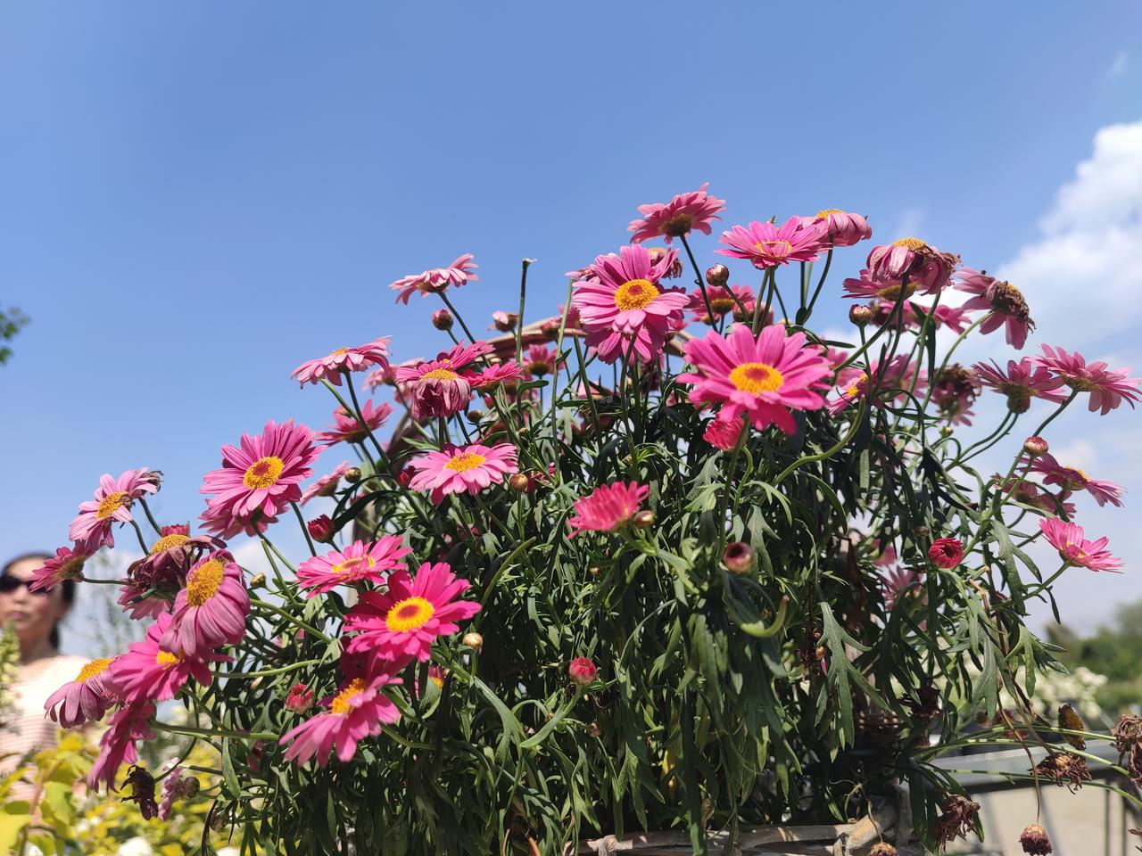 ＃勇敢的人，不是不落泪的人，而是愿意含着泪继续奔跑的人。＃
勇敢的人，并不是那些