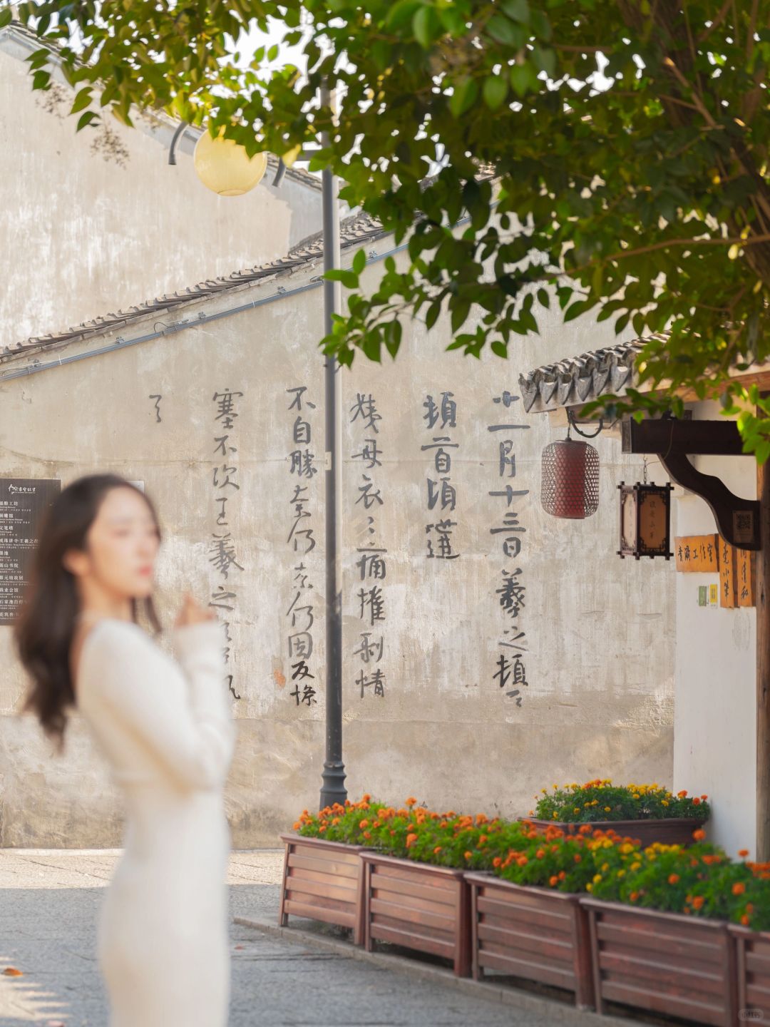 在绍兴的秋色里，我遇到了真正的江南🍂