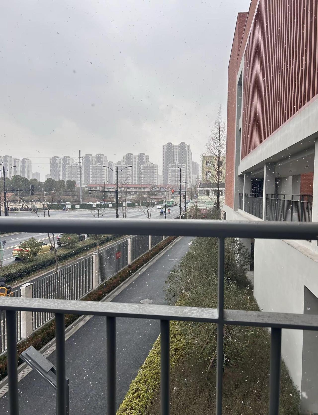 已经十几年没下雪的上海突然飘雪 雪 认真的雪 薛之谦