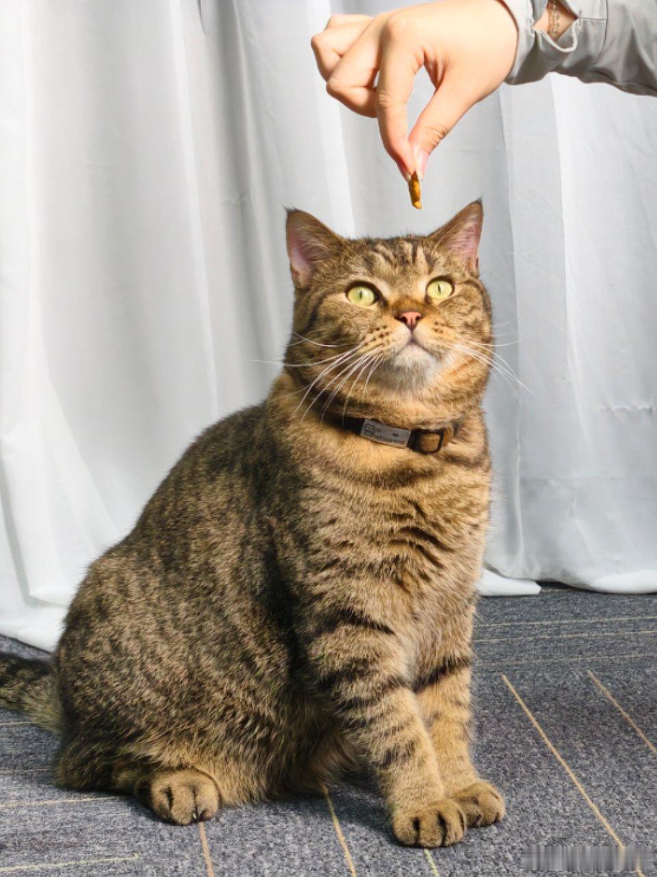 缺乏维生素D 抑郁症状打工人想要晒太阳补充维生素D真的挺难每天到工位一座下班已经