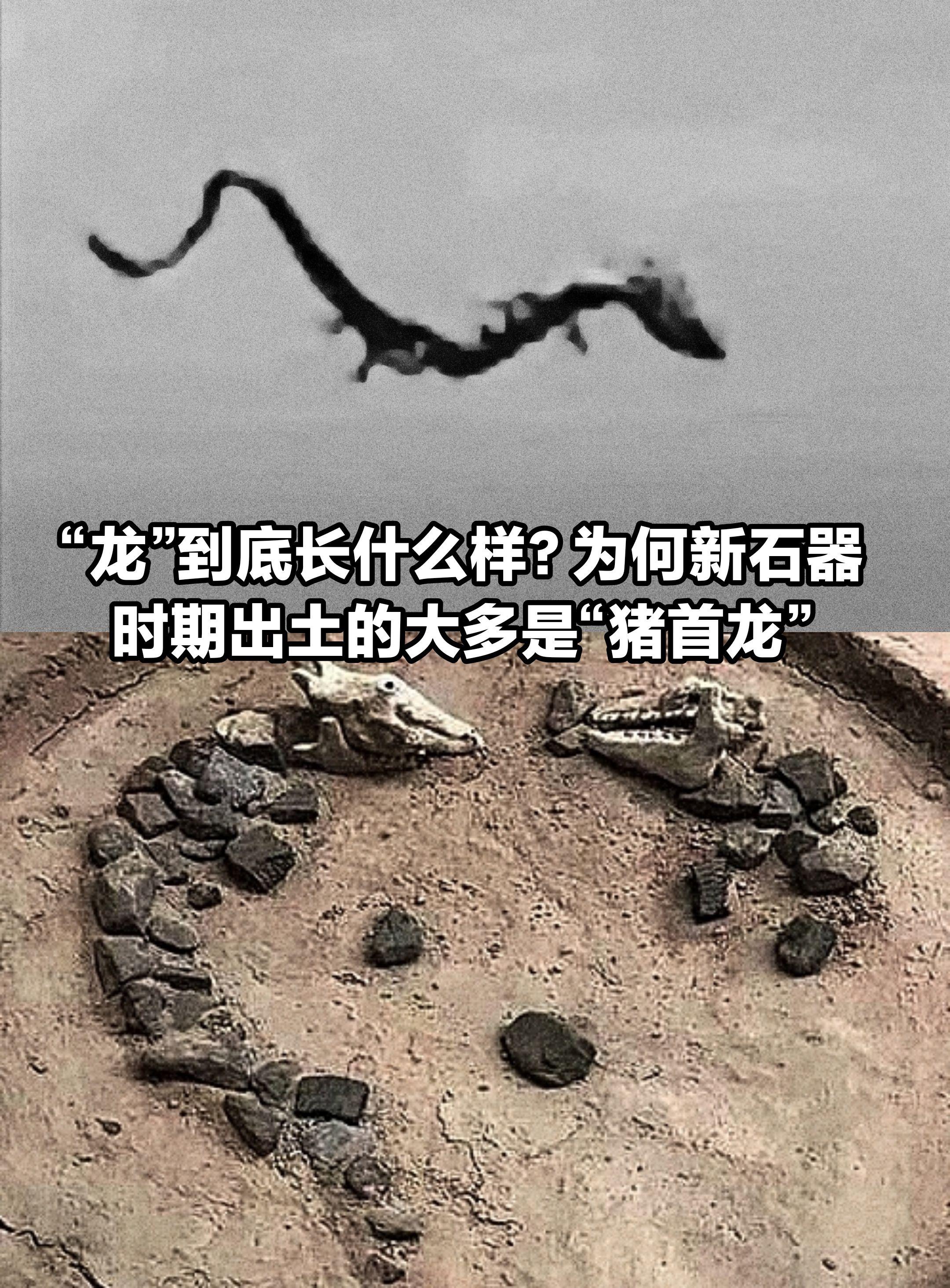 “龙”到底长什么样子？新石器时期“猪首龙。