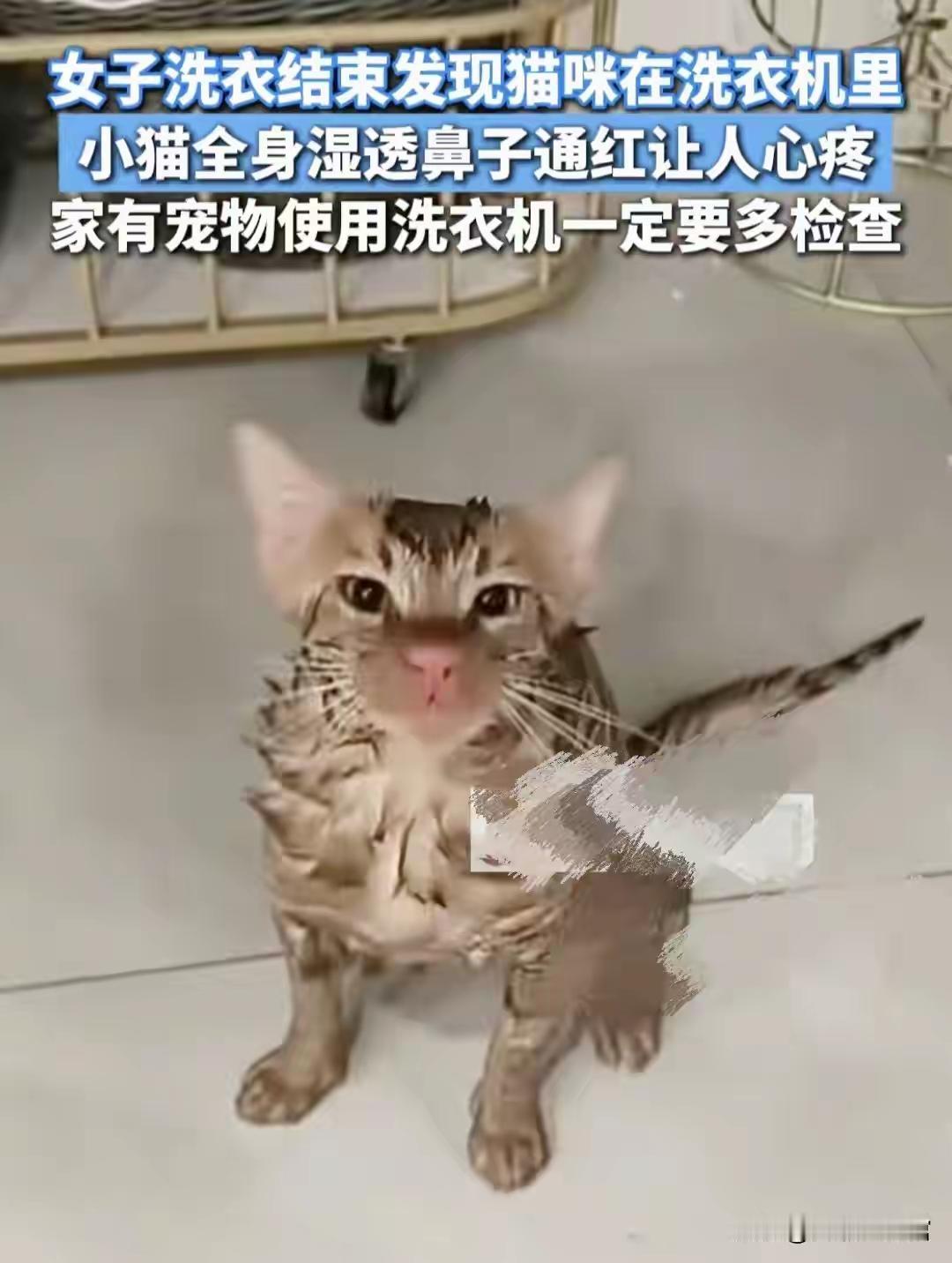 天下之大，无奇不有！

12月5日，江苏苏州一位女子洗完衣服后，惊讶的发现，自己