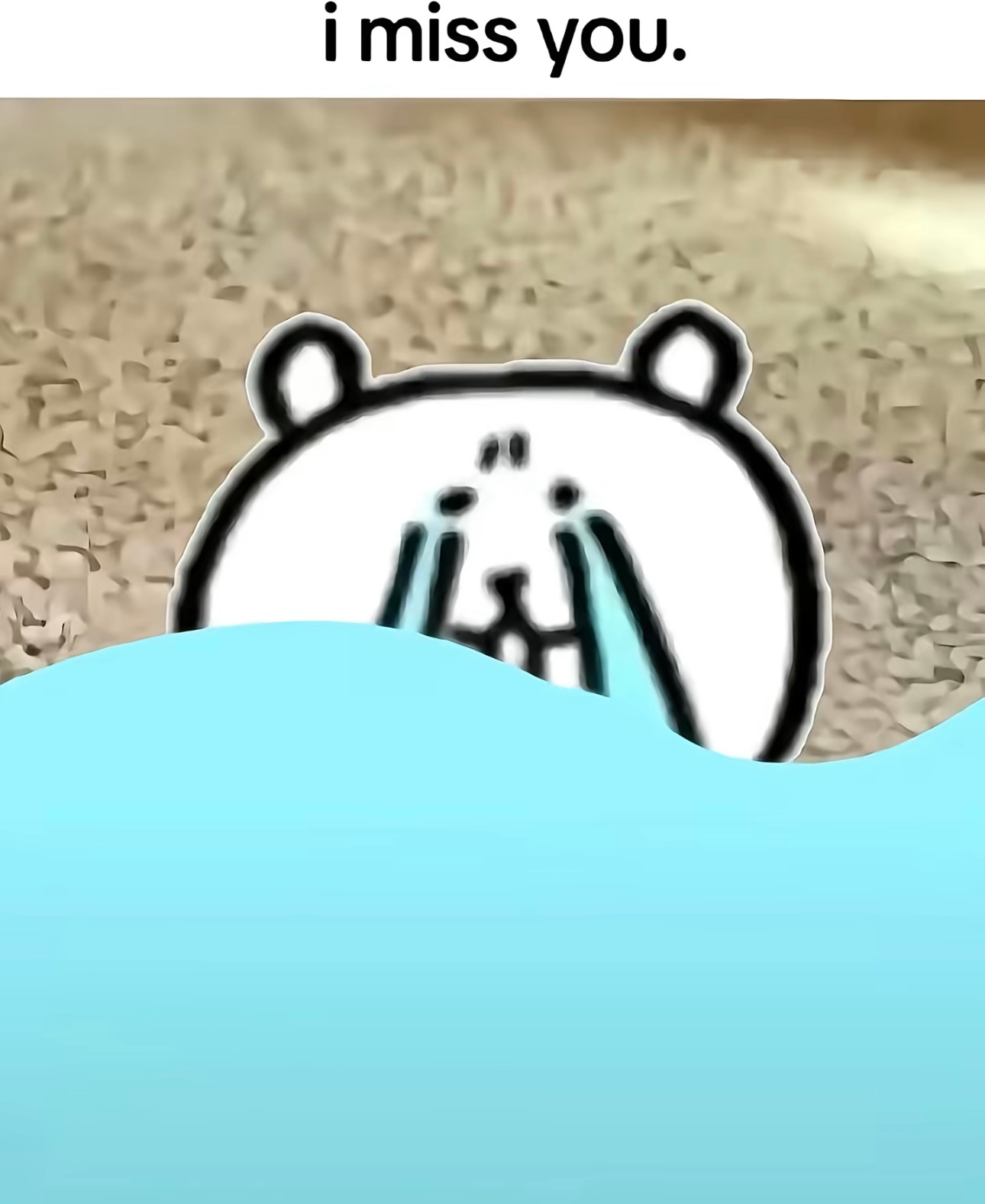 分享图片  专栏 · 养猪手册