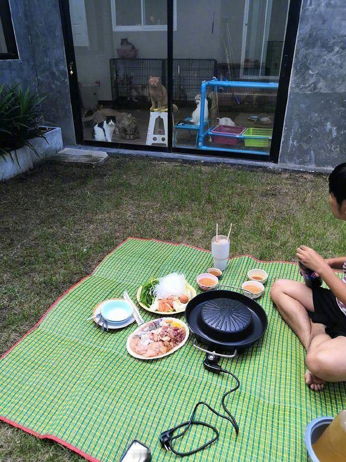 主人在院子里加餐怕猫咪干扰就把门都关住了...[喵喵]​​​