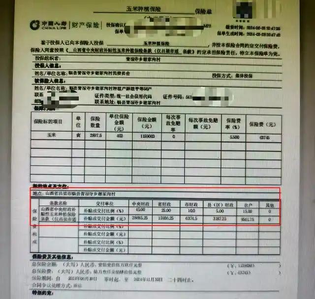 山西一村民投保50多亩玉米地收成。投保当年就遭遇旱灾，原本亩产750斤的玉米，只