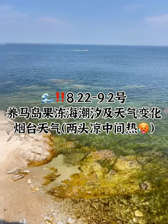 📍8.22-9.2号烟台养马岛果冻海潮汐及天气