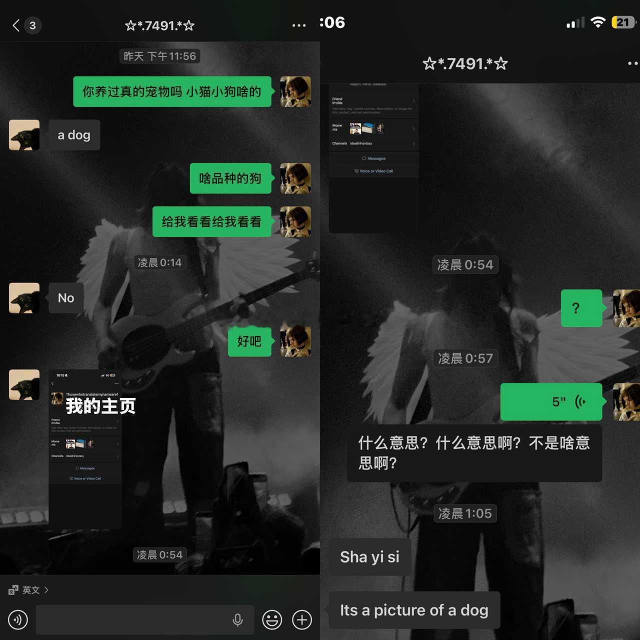 22153【意大利男你赢了】sha yi si 