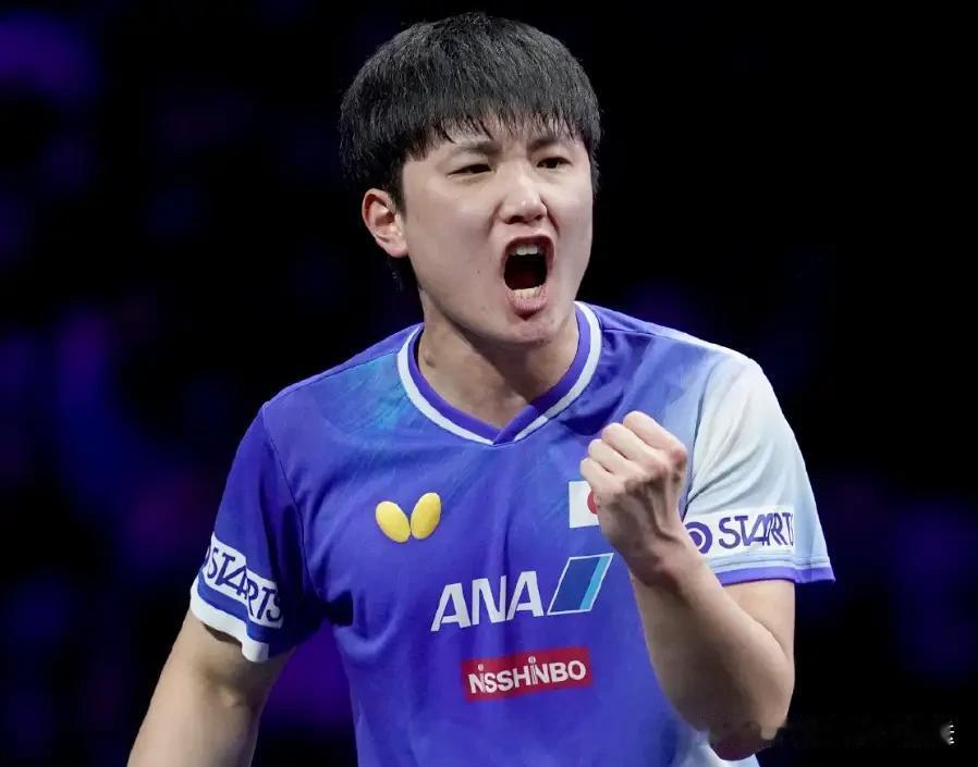 WTT多哈冠军赛，男单16强产生12席，中日韩8人晋级，国乒主力2胜1负[玫瑰]