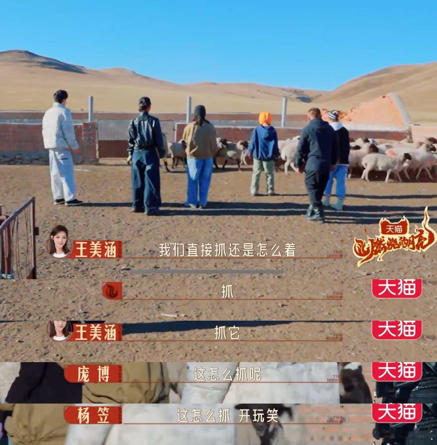 杨笠 我一边追他一边怕把他追上  燃烧的月亮 杨笠抓羊的这一段真的绝了！金句频出