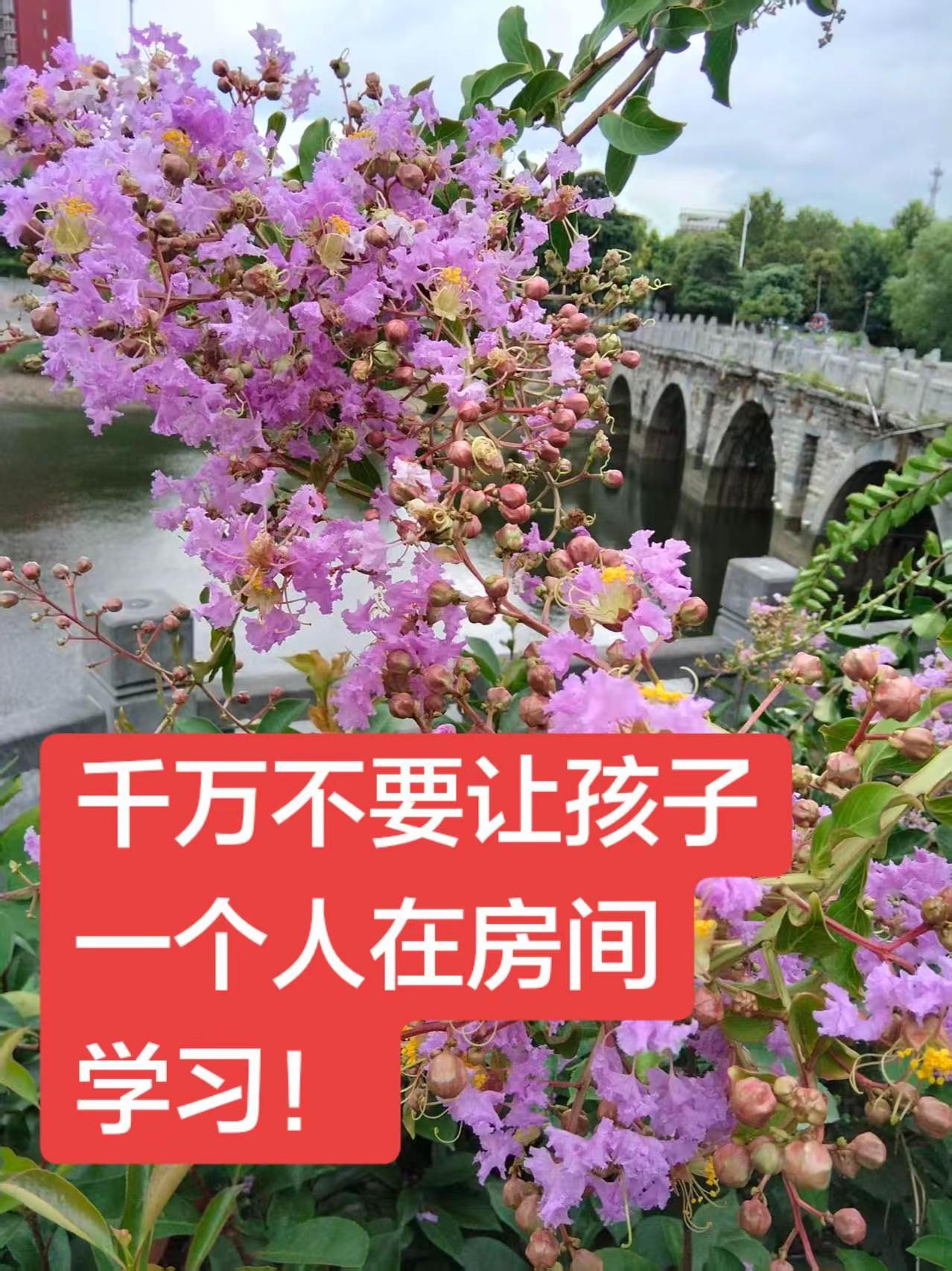千万不要让孩子一个人在房间学习！孩子成绩下滑，99%是从他关门那一刻开始的。 我