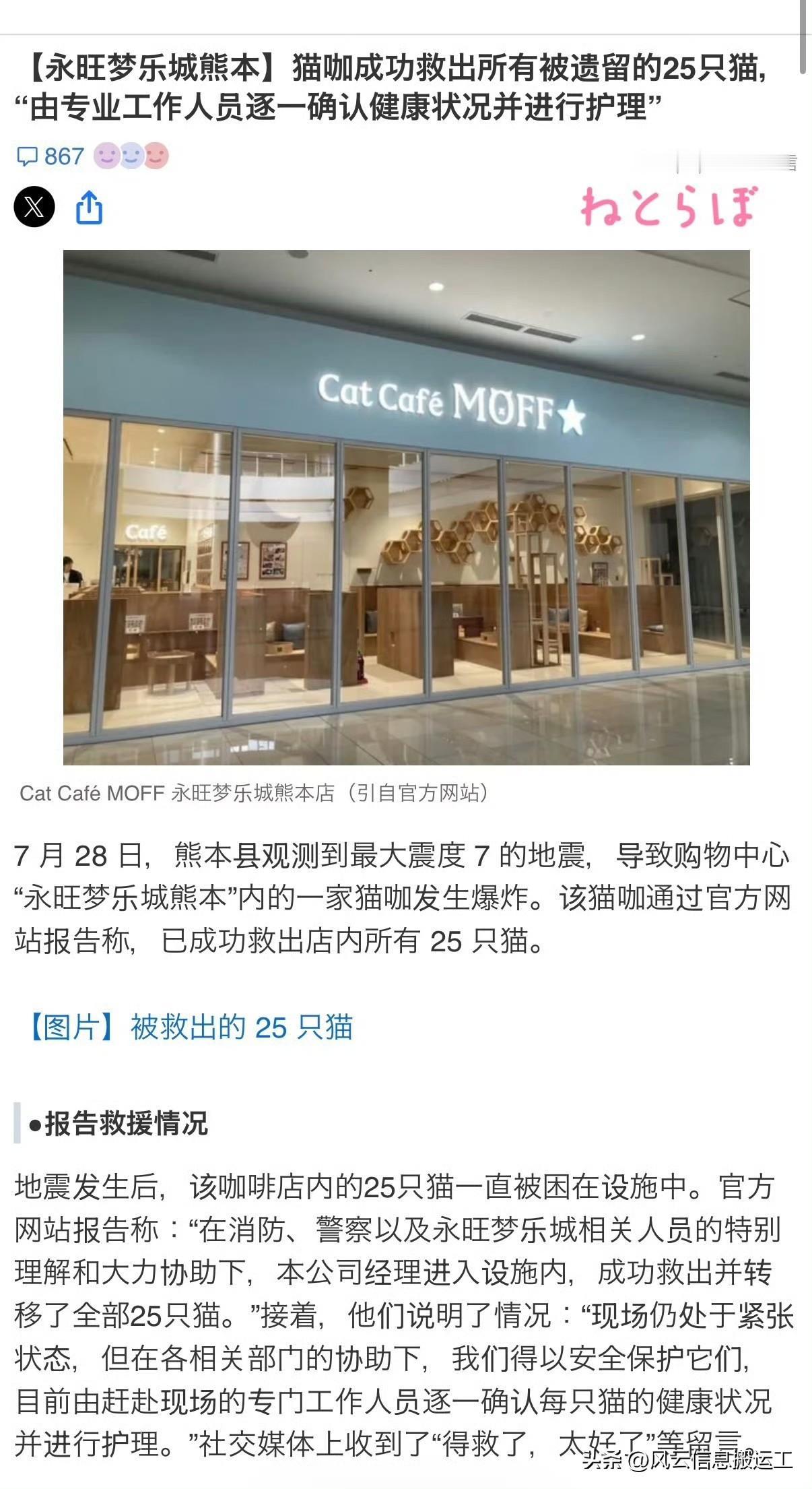 日本媒体报道，熊本商场爆炸后，从商场里救出了25只猫。

该店甚至还公布了25只