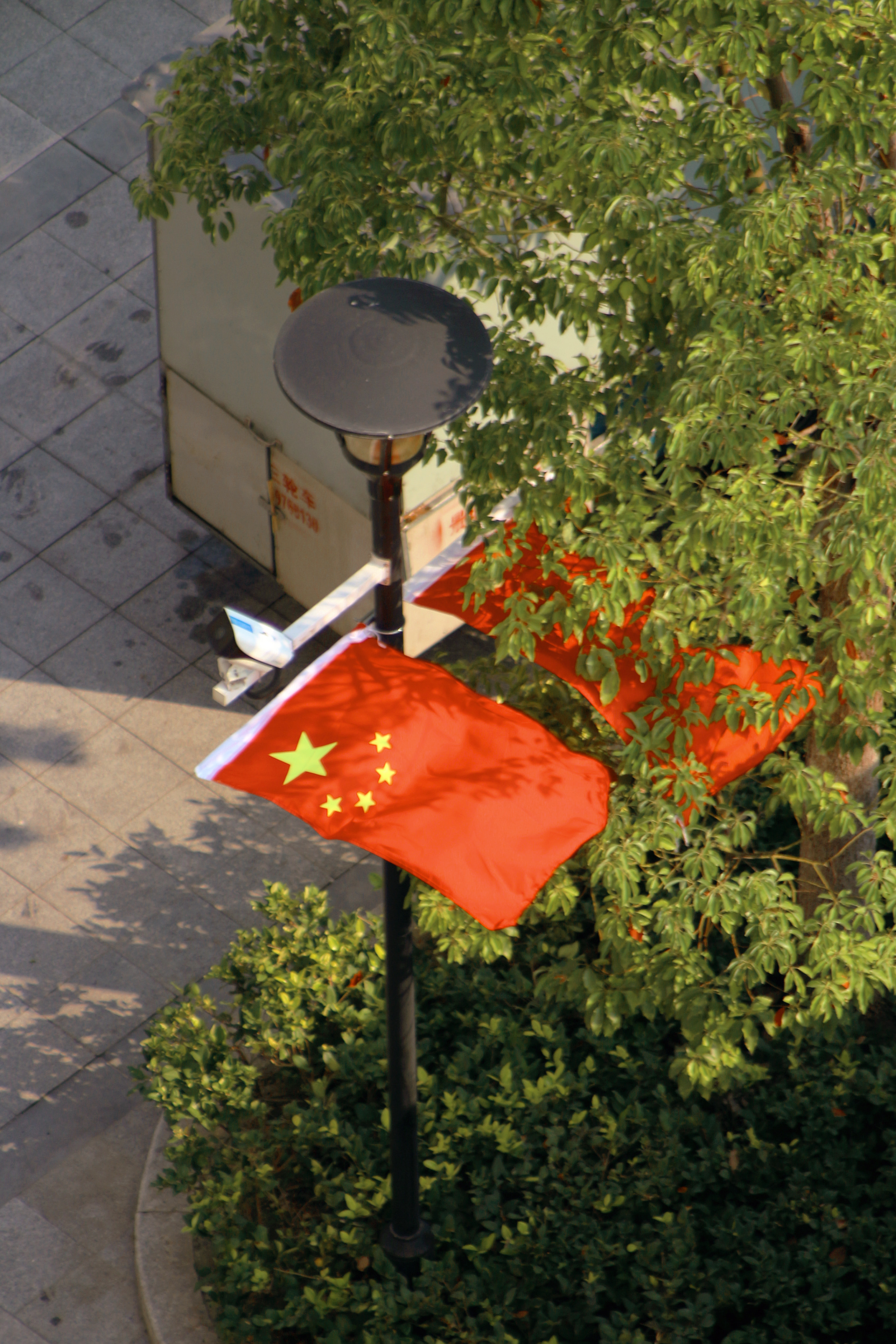 生在红旗下 长在春风里。 ​​​