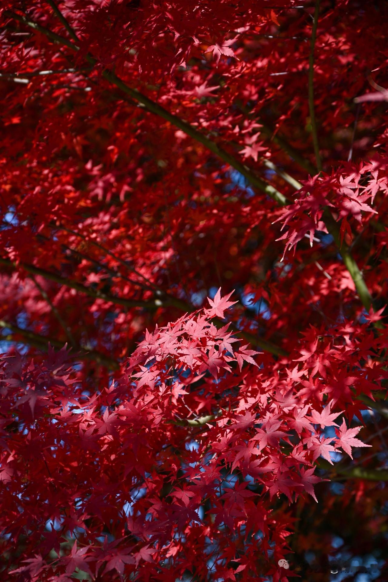 钞票一天比一天少，你会很焦虑，可生命一天比一天少，你却一点都不在乎