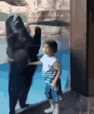 熊和人类幼崽的互动，熊开心的跳起来，谁还不是一个宝宝呢？