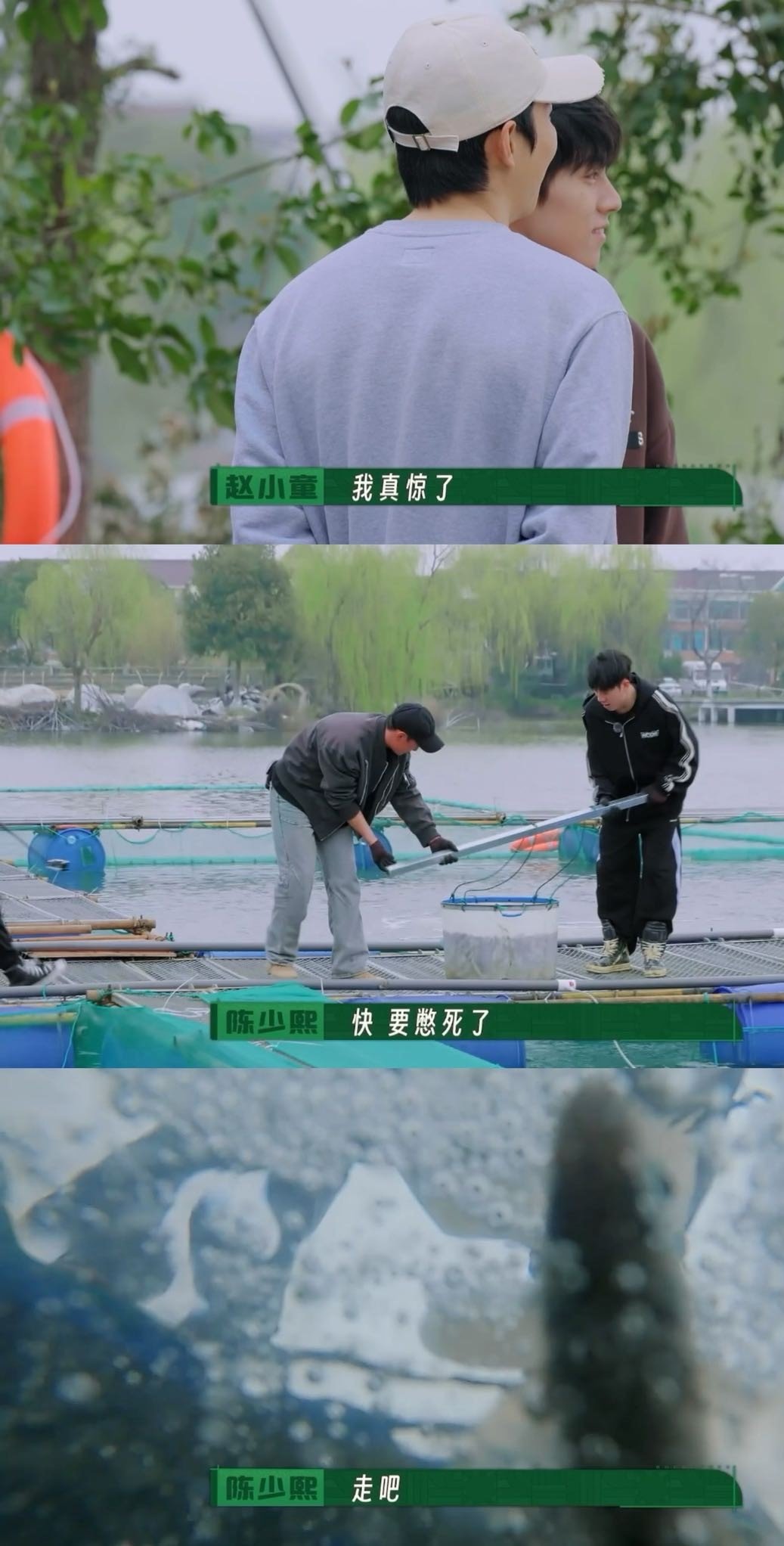 #鹭卓陈少熙调了个元素周期表# 好家伙，陈少熙鹭卓出差海南，从小鱼塘走向大海洋！