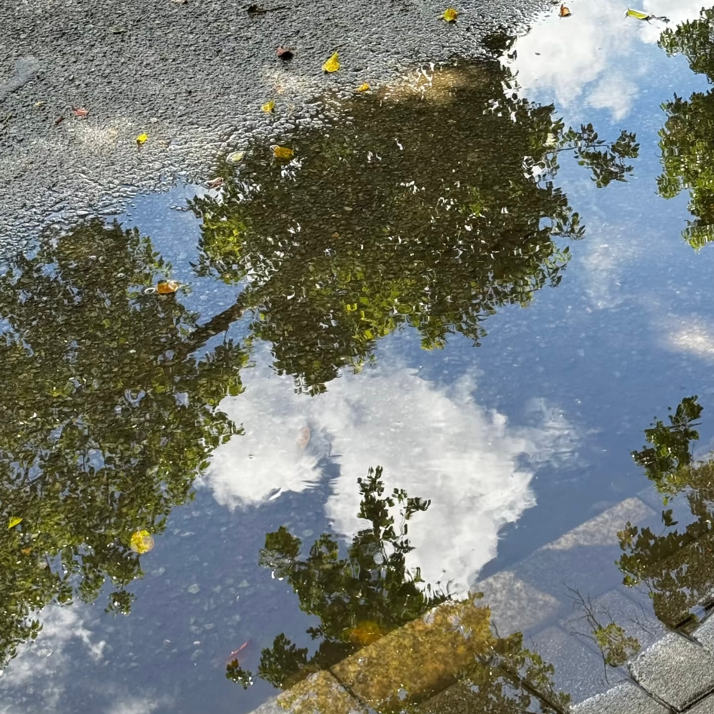 喜欢的一张照片，有人懂吗 