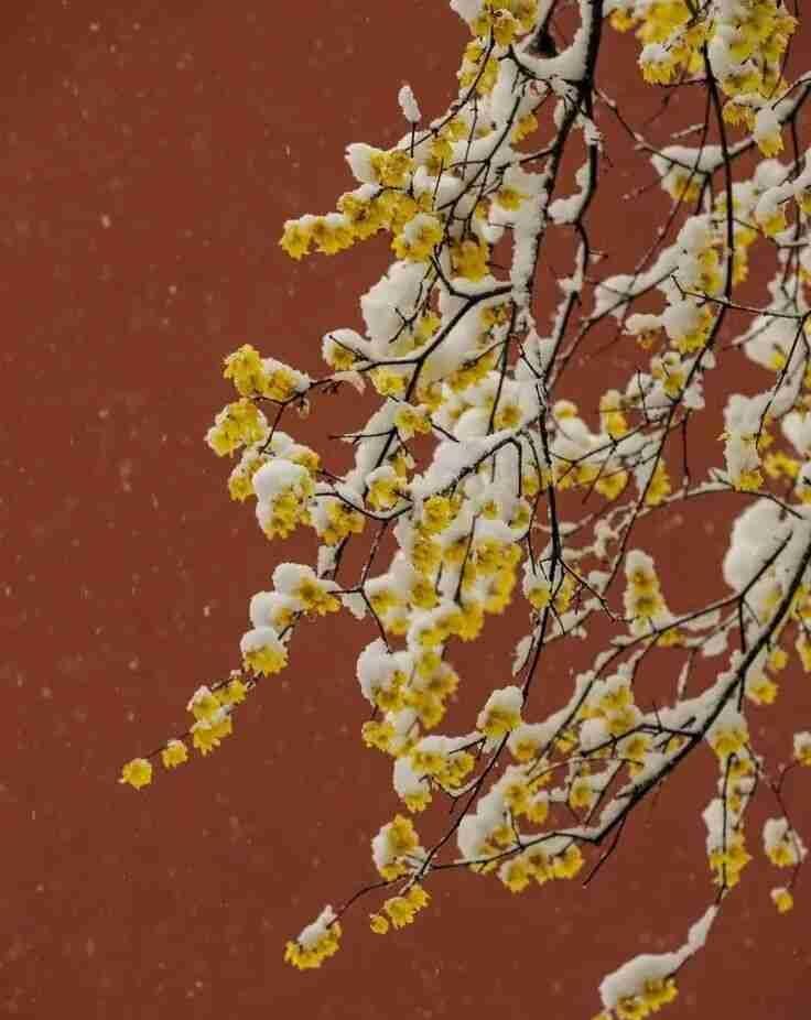 我的今日状态：💰期待暴富
我这里的天气：🌤️多云