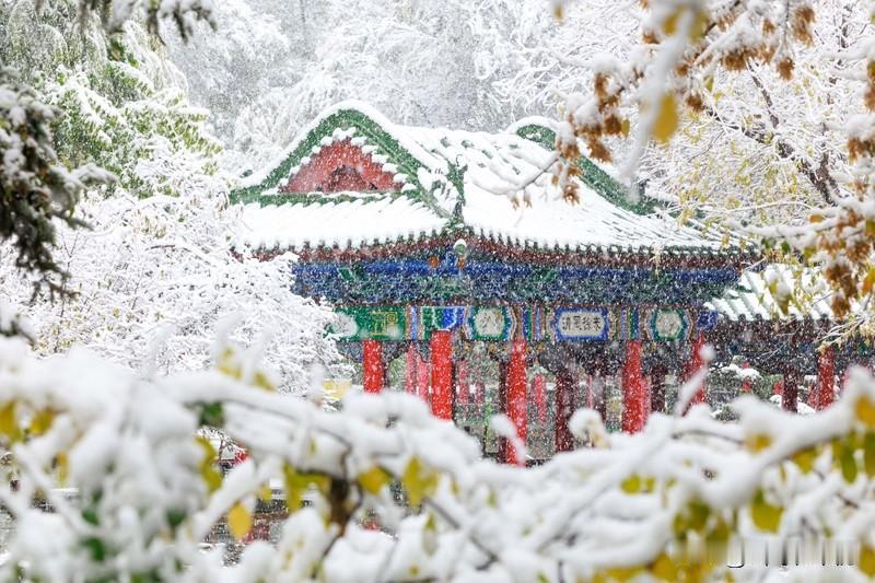 要说带“雪”的诗句，我超爱“晚来天欲雪，能饮一杯无？”出自白居易的《问刘十九》。