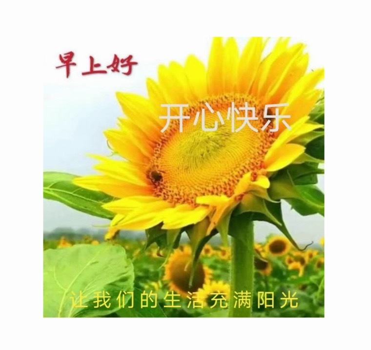 早上好，自然醒的感觉真好，你也是吗？