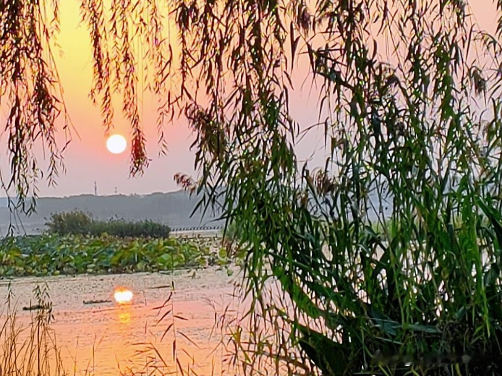 周末去淀山湖旁的开放公园露营，嘿，居然碰到了神仙日落！太阳刚碰到湖面那会，天空有