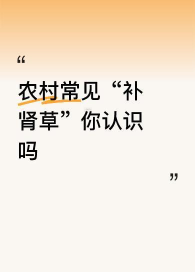 农村常见“补肾草”你认识吗