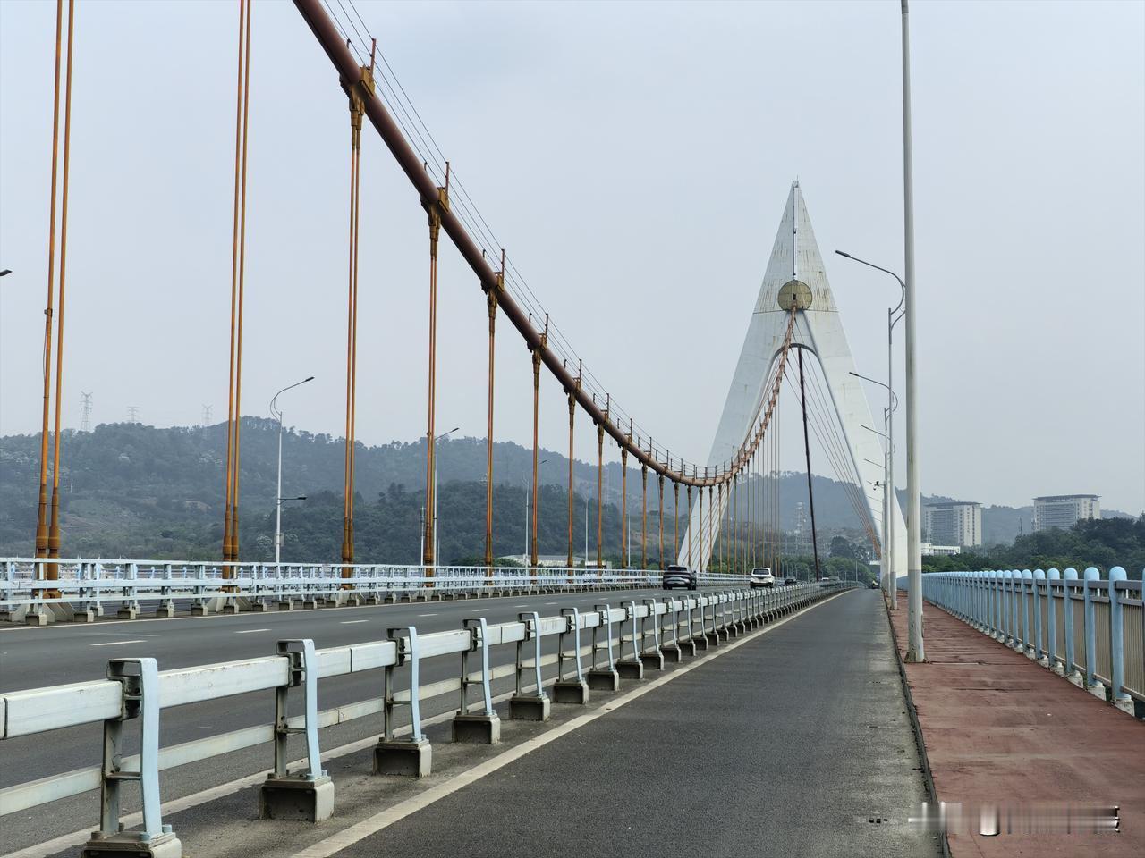 第一次骑车经过鹧鸪江大桥