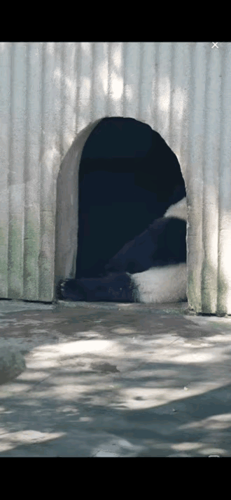 小月亮此刻是不是只想静静？坐在门口的小月亮太纠结了，是进还是退呢？嗯，这是个难题