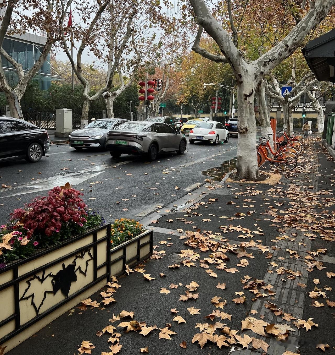现在的年轻人，真不是不想生孩子，是根本不敢生。
 
我楼下有对小夫妻，结婚好几年