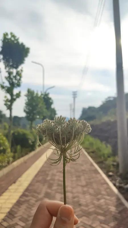 生活里的点滴小事，总能带来深刻感悟。就像我在加油站工作，要处理各种琐碎事务，保证