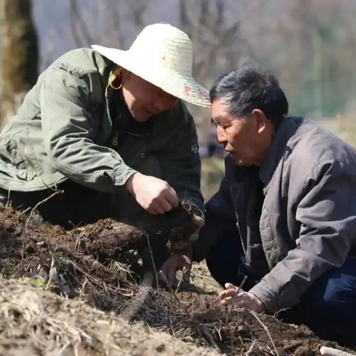 88岁的罗官章，历经岁月沧桑，走完了自己的人生旅程，而他最后留给家人的，或许不仅