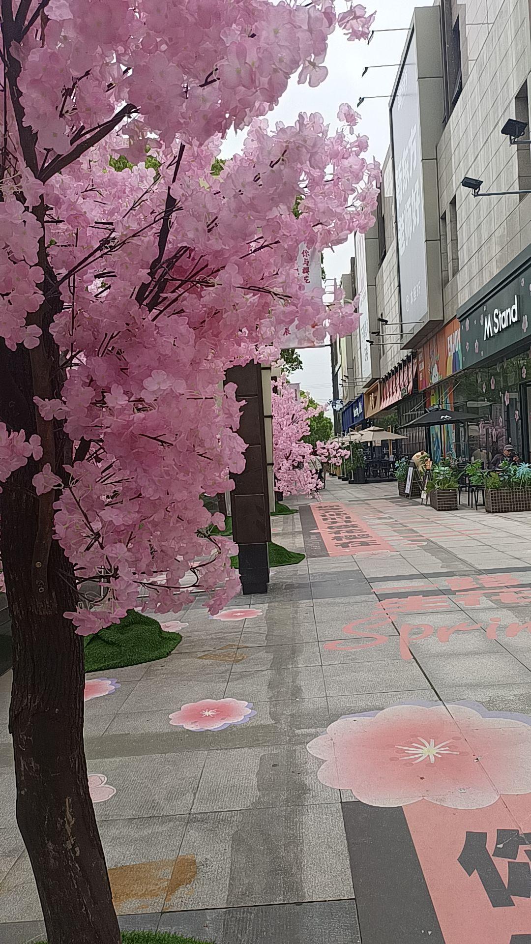 好久没有出去了，今天到巴黎春天一游，感觉心情亮堂了很多！短暂游玩的照