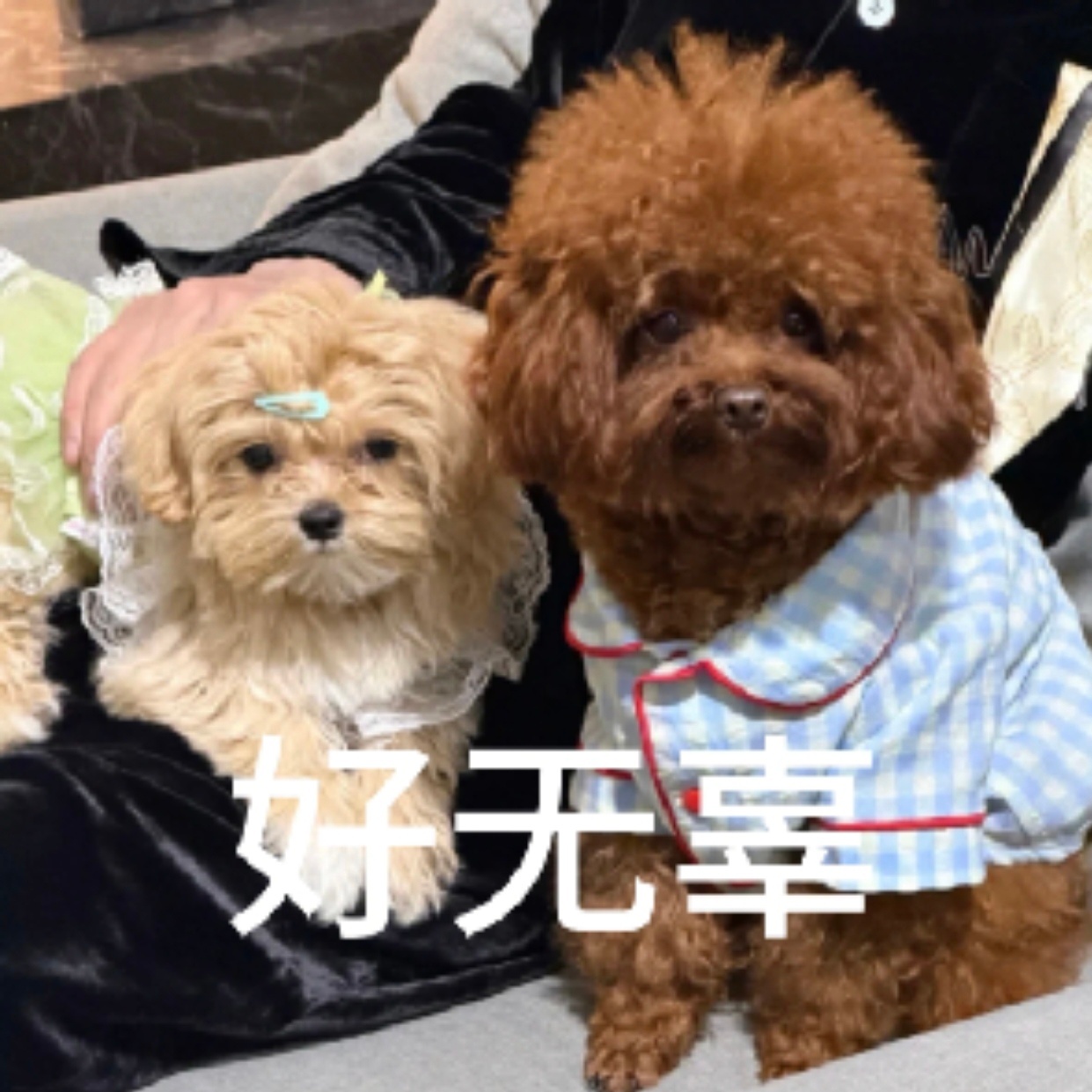 5k你包的太好了，让我怎么舍得拆开