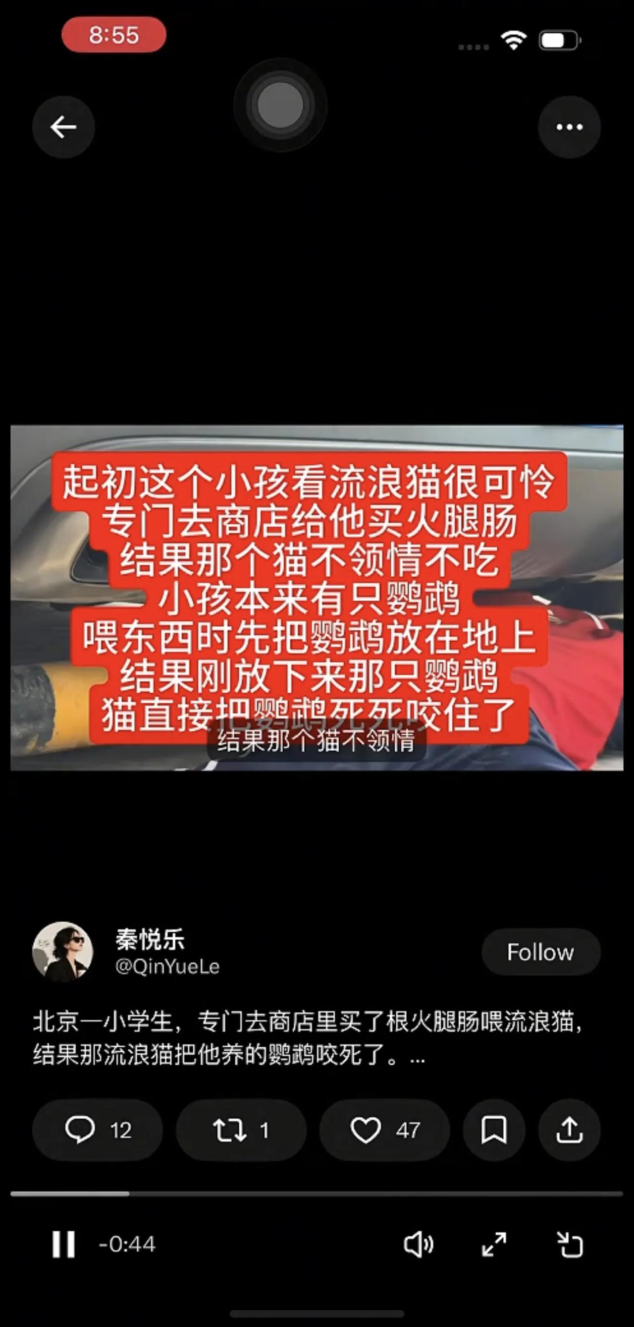 对流浪猫，这个男同学有了刻骨铭心的体验。我说流浪猫是生态杀手，特别是对鸟类，所以