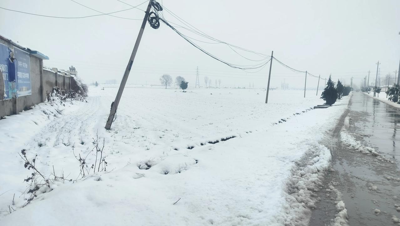这场雪下得真不小，村口的电线杆都被压得歪歪扭扭，电线也耷拉下来了。
路上的雪被踩