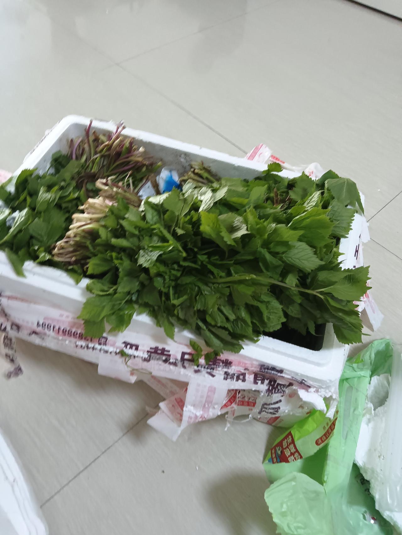 新鲜蔬菜大丰收，健康生活从这里开始！🌱🥗