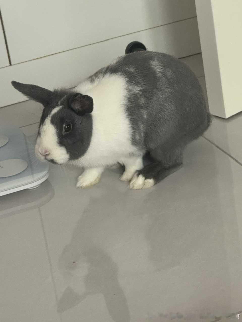 13555🐇【这啥东西】 